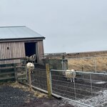 Photo taken by Sharnise H