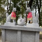 Photo taken by Arlan W