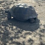 Photo taken by Gary W