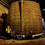 Photo taken by Kassie R