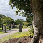 Photo taken by Sullivan S