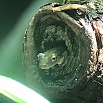 Photo taken by Michelle D