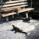 Photo taken by Patricia D