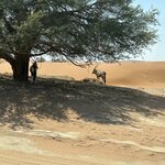 Photo taken by Nigel R