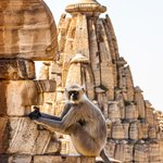 Hindu Temple, Chittogarh | Photo taken by Jean M