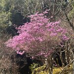 Photo taken by Kirti P