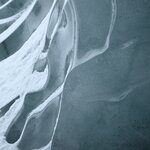 Photo taken by Sally L