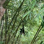 Photo taken by Barb S