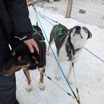 Photo taken by KRISTIN T