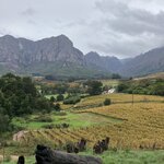 Photo taken by rhonda c