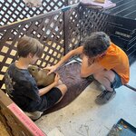 Photo taken by Tara S