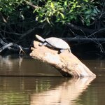 Photo taken by Tom B