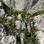 Photo taken by John B