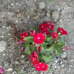 Photo taken by Teresa R