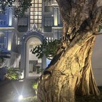 Photo taken by Dianne M