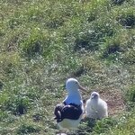 Photo taken by Mary K