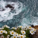 Photo taken by Kim P