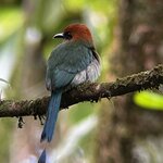 Photo taken by Martin L