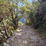 Photo taken by Bree J