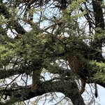 Photo taken by Gabrielle A