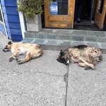 Photo taken by Ruth E