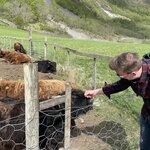 Photo taken by Owen B