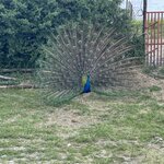 Photo taken by Daniel D