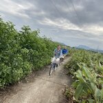 Photo taken by Jayne S