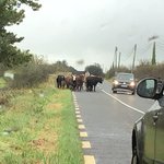 Photo taken by Robin F