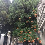 Photo taken by Cal H