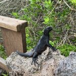 Photo taken by Stephanie A