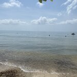 Photo taken by Bincy P