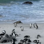 Photo taken by Janie W