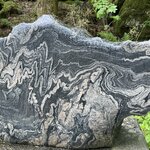 Photo taken by Susan K