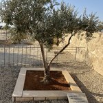 Photo taken by Daniela G