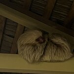 Photo taken by Martin L