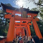 Photo taken by Mallory A