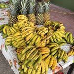 Photo taken by Ben B