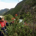 Photo taken by Joe S