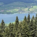 Photo taken by Laura H