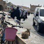 Photo taken by Paula H