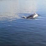 Photo taken by Stefani C