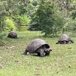 Photo taken by Sofia W