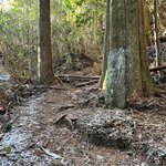 Photo taken by Daniel D