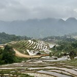 Photo taken by Joe S