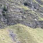 Photo taken by Nancy B