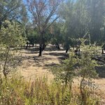 Photo taken by Cynthia W