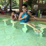 Pool Bar | Photo taken by Nitin A