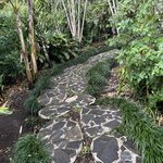 Photo taken by Robin W