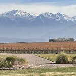 Photo taken by Graciela P